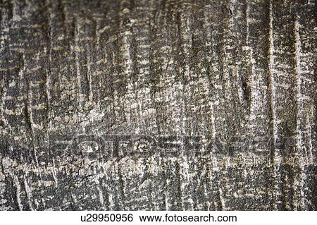 Stock Photograph - Rock Surface. Fotosearch