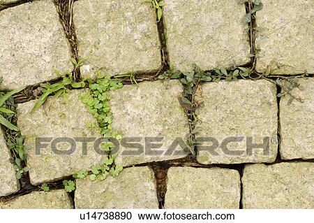 Stock Image - Stone Road. Fotosearch