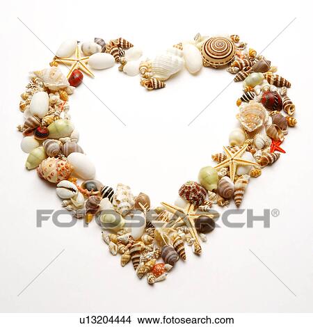 Assorted seashells form heart shape, close-up View Large Photo Image Picture - Assorted seashells form heart shape, close-up. Fotosearch