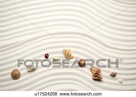 Colourful seashells on sand View Large Photo Image Stock Photo - Colourful seashells on sand. Fotosearch