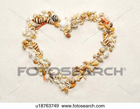 Stock Photo - Heart shape made of assorted seashells, close-up. Fotosearch