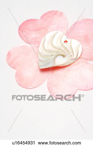 Single seashell on flower pattern View Large Photo Image Stock Image - Single seashell on flower pattern. Fotosearch