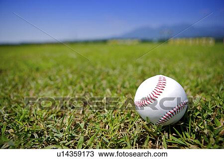 Stock Image - Baseball on grass. Fotosearch