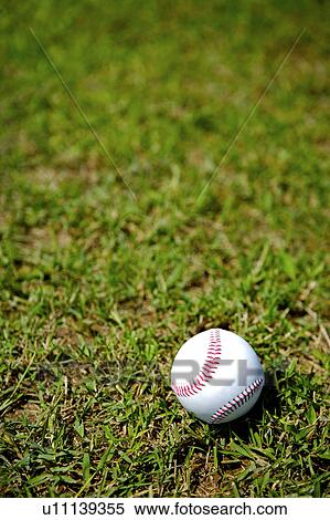 Stock Photography - Baseball on grass. Fotosearch