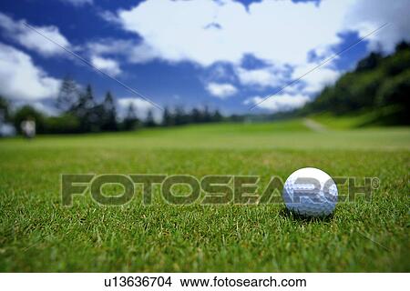 Picture - Golf ball in grass, close up. Fotosearch