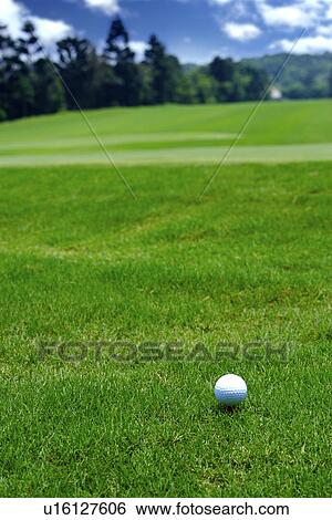 Golf ball on green View Large Photo Image Stock Photograph - Golf ball on green. Fotosearch