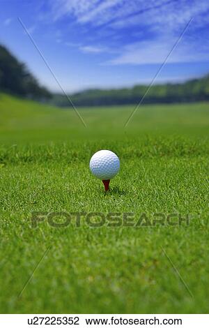 Golf ball on tee, ground view, close up View Large Photo Image Stock Image - Golf ball on tee, ground view, close up. Fotosearch