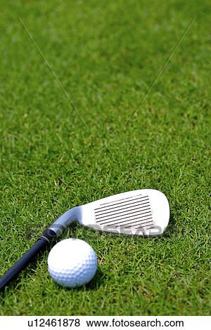 Golf club and golf ball, ground view, close up View Large Photo Image Stock Photo - Golf club and golf ball, ground view, close up . Fotosearch