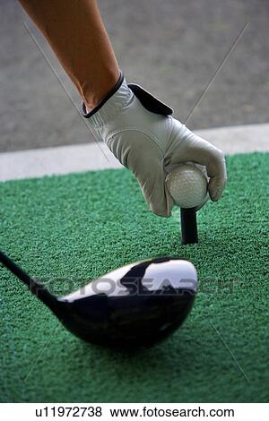 Stock Photo - Man placing golf ball on tee . Fotosearch