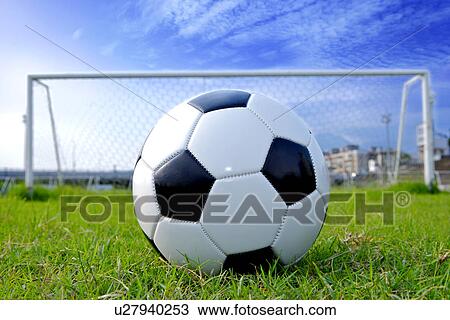 Ball on soccer field View Large Photo Image Stock Image - Ball on soccer field. Fotosearch