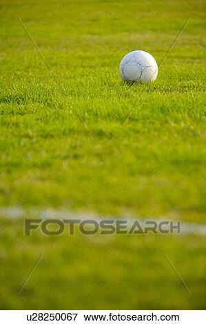 Ball on soccer field View Large Photo Image Stock Photo - Ball on soccer field. Fotosearch