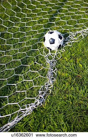 Football resting on goal net, close-up View Large Photo Image Stock Image - Football resting on goal net, close-up . Fotosearch