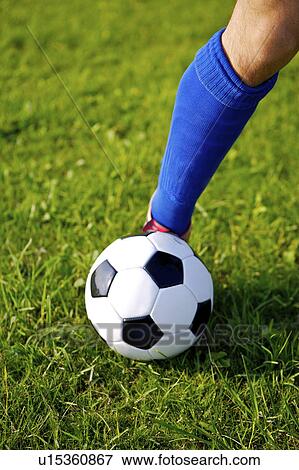 Soccer ball on player's foot, focus on foot View Large Photo Image Stock Photo - Soccer ball on player's foot, focus on foot. Fotosearch