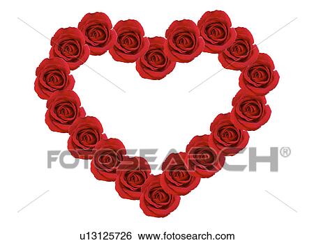 Heart shape made of roses View Large Photo Image Stock Photograph - Heart shape made of roses. Fotosearch