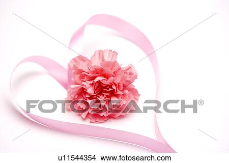 Picture - Heart-shaped ribbon with flower. Fotosearch