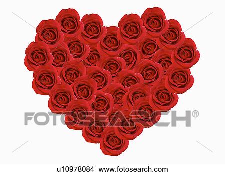 Roses in shape of heart View Large Photo Image Picture - Roses in shape of heart. Fotosearch