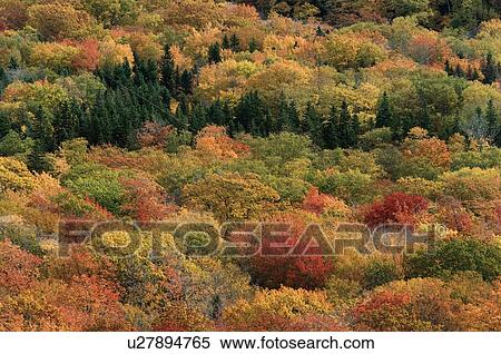 Autumn color. Cape Breton Highlands National Park. View Large Photo Image Stock Photography - Autumn color. Cape Breton Highlands National Park.. Fotosearch