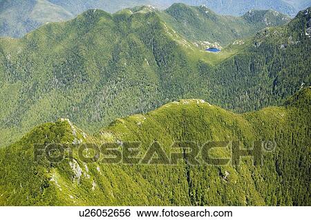 Stock Photograph - Brooks Peninsula, West Coast, Vancouver Island, British Columbia, Canada. Fotosearch