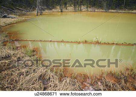 Stock Image - Details of one of the Paint Pots In Yoho National Park BC – iron-rich mineral springs bubble up through small pools, staining the earth a deep ochre, Canada, British Columbia, Yoho National Park. Fotosearch