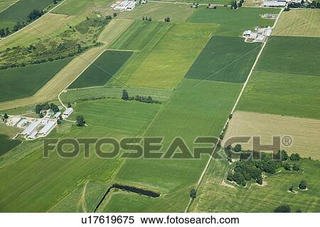 Stock Photography - Farming Land, Fraser Valley, British Columbia, Canada. Fotosearch