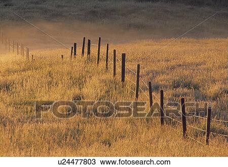 Stock Image - Fence in Pasture near Cochrane, Alberta, Canada. Fotosearch