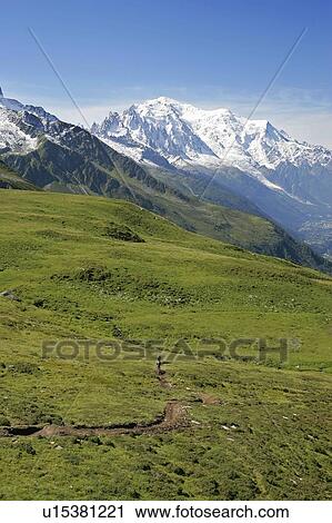 Stock Image - Mountain bikers in front of Mont Blanc, Col de Balme, Chamonix, France. Fotosearch