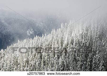 Stock Image - North Shore mountains, Vancouver, BC. Fotosearch