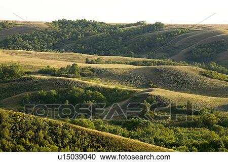 Qu'appelle Valley, Saskatchewan View Large Photo Image Stock Image - Qu'appelle Valley, Saskatchewan. Fotosearch