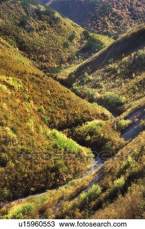 Stock Image - Stream winds through highlands. Cape Breton Highlands National Park.. Fotosearch