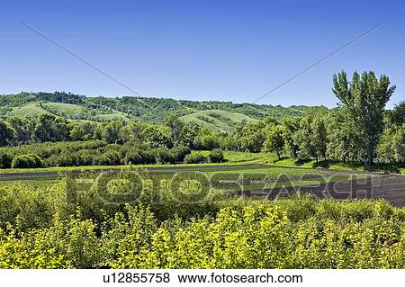 Stock Photo - Vegetable field beside rolling hills of Lumsden, Saskatchewan, Canada. Fotosearch