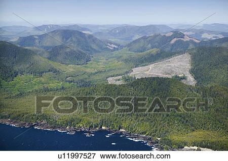 Stock Photo - West Coast, Vancouver Island, British Columbia, Canada. Fotosearch