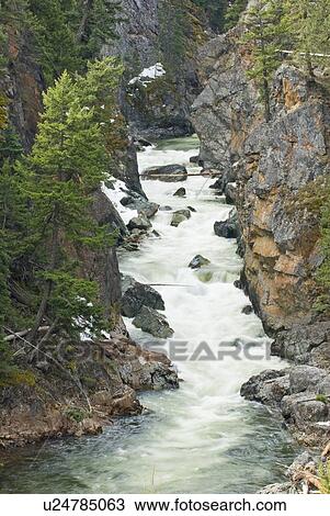 Stock Image - A river flows in Manning Provincial Park, BC. Fotosearch