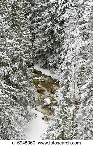 A snowy river gorge, Revelstoke, BC, Canada View Large Photo Image Stock Image - A snowy river gorge, Revelstoke, BC, Canada. Fotosearch