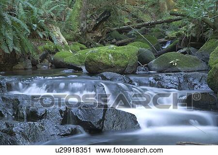 River, Whistler, BC, Canada View Large Photo Image Stock Image - River, Whistler, BC, Canada. Fotosearch