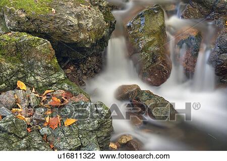 Small creek along the Lone Shieling Trail - Cape Breton Highlands National Park - Nova Scotia - Canada View Large Photo Image Stock Image - Small creek along the Lone Shieling Trail - Cape Breton Highlands National Park - Nova Scotia - Canada. Fotosearch