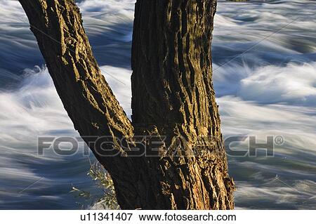 The Niagara River - Niagara Falls State Park - Niagara Falls New York USA View Large Photo Image Stock Photo - The Niagara River - Niagara Falls State Park - Niagara Falls New York USA. Fotosearch