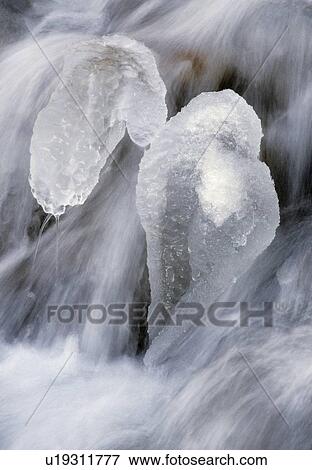 Un-named Creek, Banff National Park, Alberta, Canada View Large Photo Image Stock Photo - Un-named Creek, Banff National Park, Alberta, Canada. Fotosearch