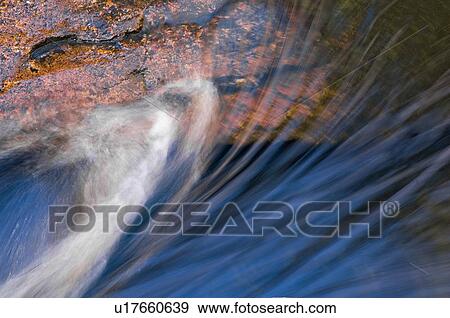 Water. Algonquin Provincial Park, Ontario. Canada. View Large Photo Image Stock Photo - Water. Algonquin Provincial Park, Ontario. Canada.. Fotosearch