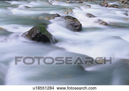 Water flowing over rocks on a creek, motion blur, Earl Grey Creek, East Kootenays, B. C. View Large Photo Image Picture - Water flowing over rocks on a creek, motion blur, Earl Grey Creek, East Kootenays, B. C.. Fotosearch