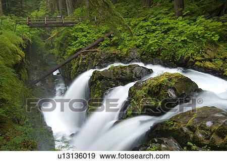 Stock Photo - Waterfall plunges into a canyon in an Old-Growth Rainforest; USA, Washington, Olympic National Park, Sol Duc River. Fotosearch