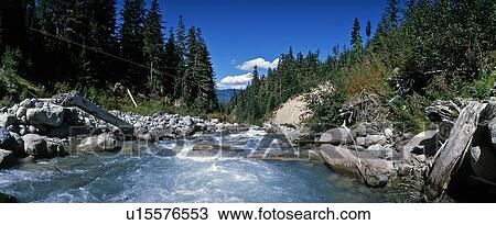 Ziptrek Panorama, Whistler, BC, Canada View Large Photo Image Stock Image - Ziptrek Panorama, Whistler, BC, Canada. Fotosearch