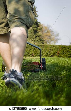 Mowing lawn with a reel mower, for exercise and to reduce energy use, Regina, Saskatchewan View Large Photo Image Stock Image - Mowing lawn with a reel mower, for exercise and to reduce energy use, Regina, Saskatchewan. Fotosearch
