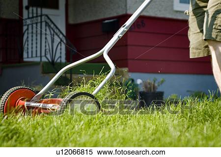 Stock Photography - Mowing lawn with a reel mower, for exercise and to reduce energy use, Regina, Saskatchewan. Fotosearch
