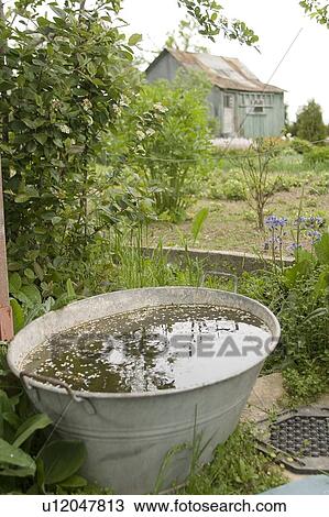 Stock Image - Old cottage, Poland. Fotosearch