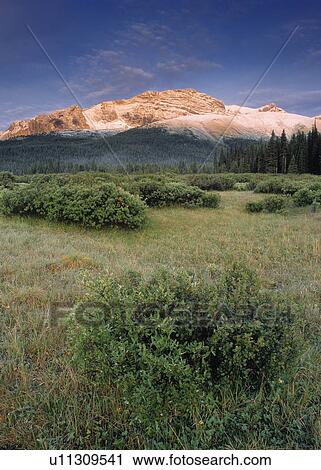 Eagle's Nest Pass and the Persimmon Range, Willmore Wilderness Area, Alberta, Canada View Large Photo Image Stock Image - Eagle's Nest Pass and the Persimmon Range, Willmore Wilderness Area, Alberta, Canada. Fotosearch