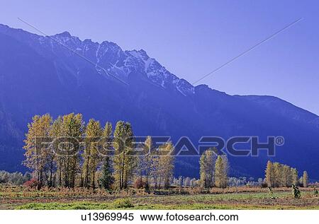 Stock Photography - Farmland in autumn colors is Pemberton, BC, with Mt. Currie above. Fotosearch
