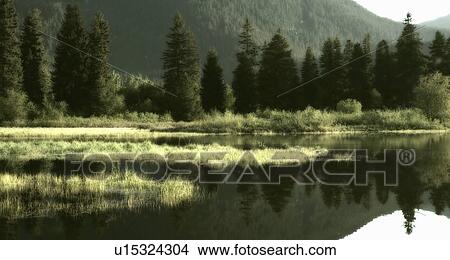 Green Lake and reflection, Whistler, BC Canada View Large Photo Image Picture - Green Lake and reflection, Whistler, BC Canada. Fotosearch