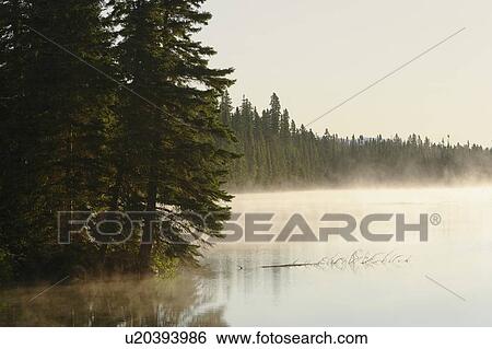 Stock Photograph - Mist at Étang-à-la-Truite (Trout pond), Gaspesie, Quebec. Fotosearch