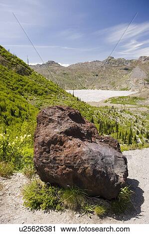 Rock from 1980 blast and logs in Spirit Lake as a result of the blowdown from the 1980 Mt. St. Helens blast, Mount St. Helens National Volcanic Monument, Washington, USA View Large Photo Image Stock Image - Rock from 1980 blast and logs in Spirit Lake as a result of the blowdown from the 1980 Mt. St. Helens blast, Mount St. Helens National Volcanic Monument, Washington, USA. Fotosearch