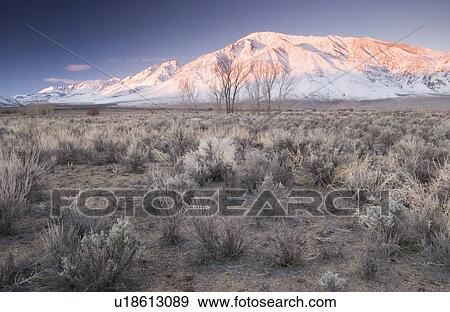 Sunrise on a snowcapped peak in the California desert, Bishop, California, USA View Large Photo Image Stock Photo - Sunrise on a snowcapped peak in the California desert, Bishop, California, USA. Fotosearch